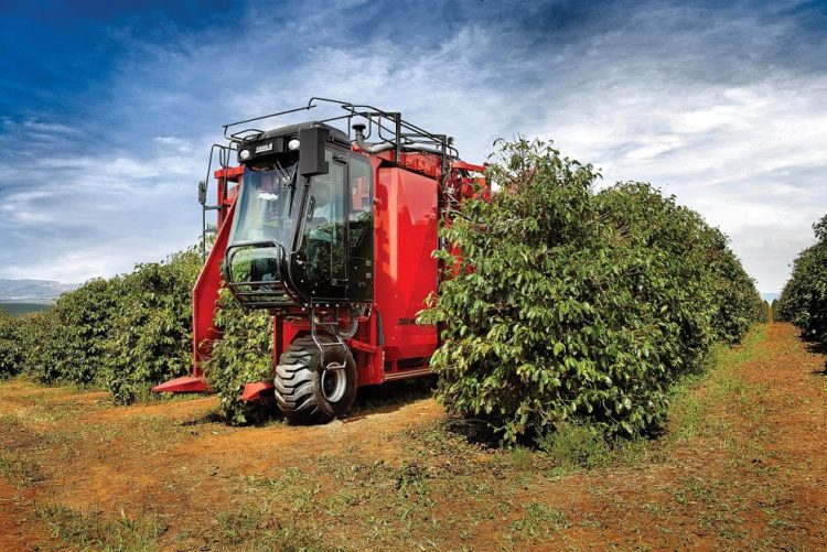 Tecnologia e café para melhora a qualidade do grão